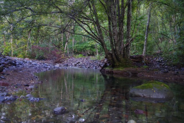 IMGP2735_R