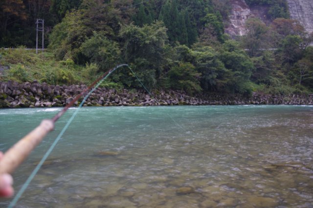 IMGP2979_R
