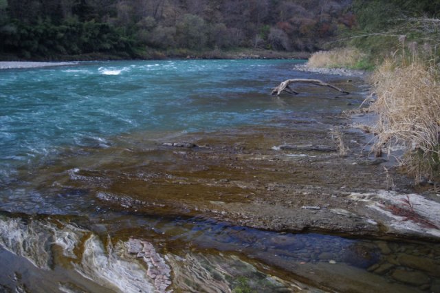 IMGP3122_R
