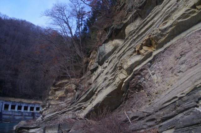 IMGP3150_R
