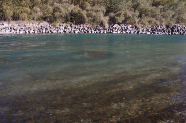 IMGP3229_R