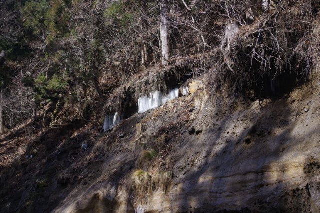 IMGP3376_R
