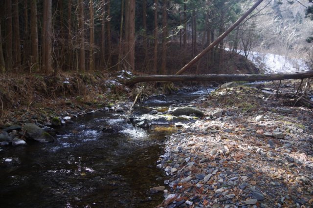 IMGP3382_R