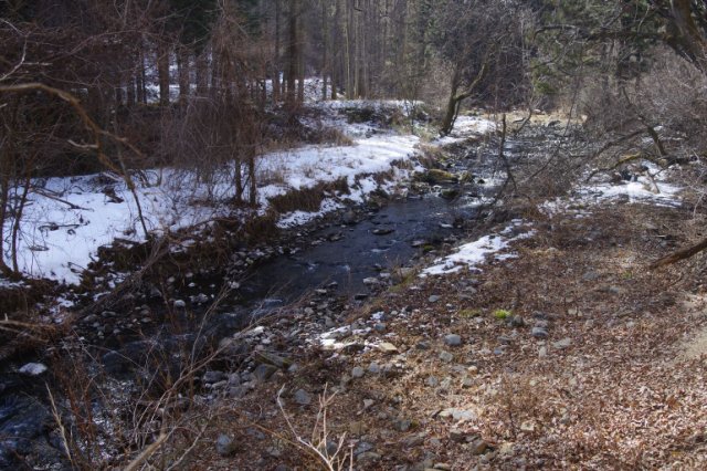 IMGP3437_R