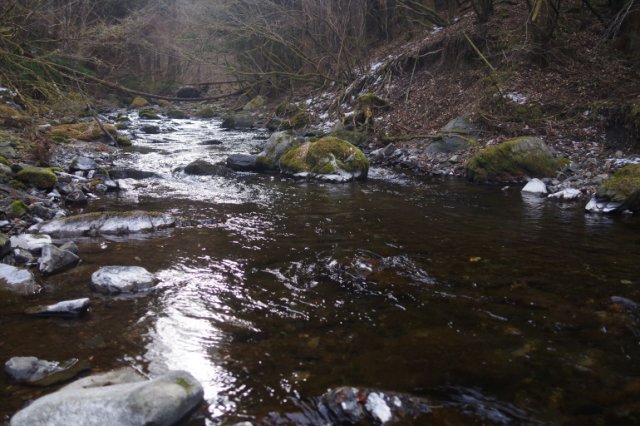 IMGP3449_R