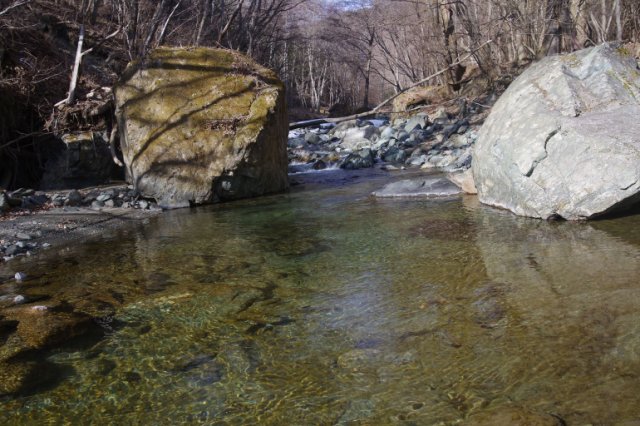 IMGP3547_R