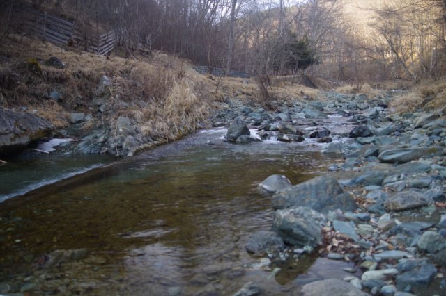 IMGP3561_R