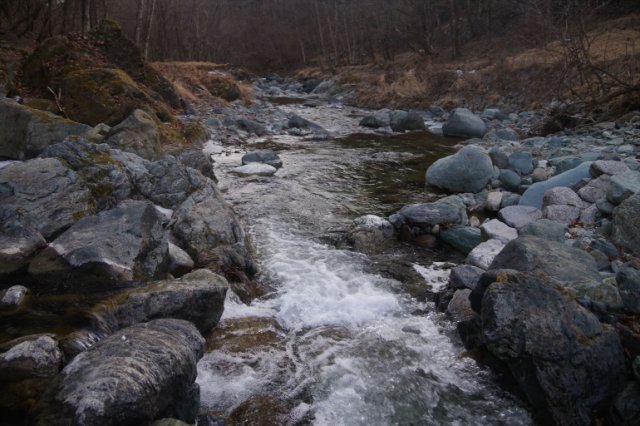 IMGP3574_R