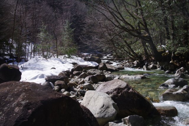 IMGP3856_R