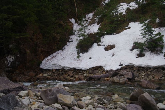 IMGP3976_R