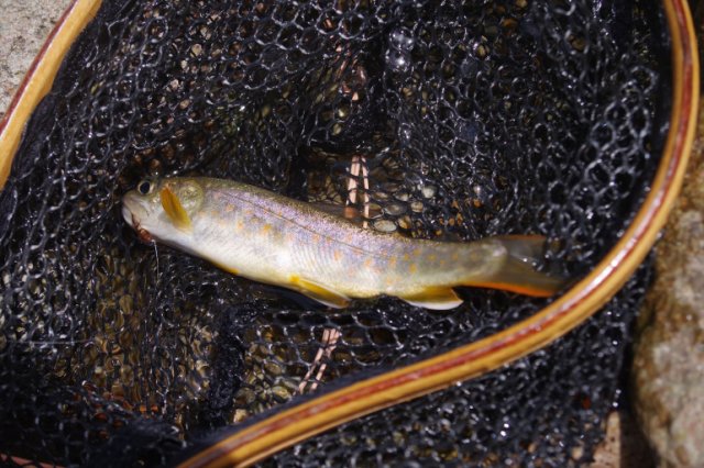IMGP4039_R
