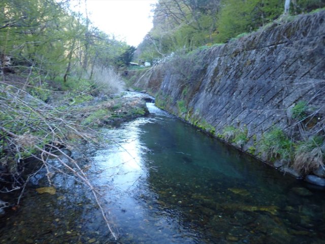 P4290054_R