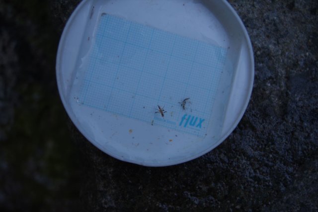 IMGP4130_R