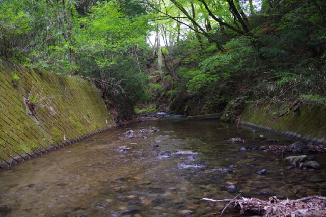 IMGP4386_R