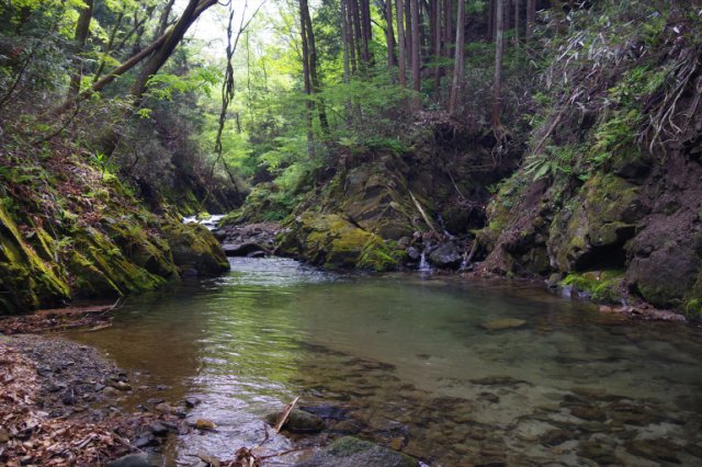 IMGP4414_R