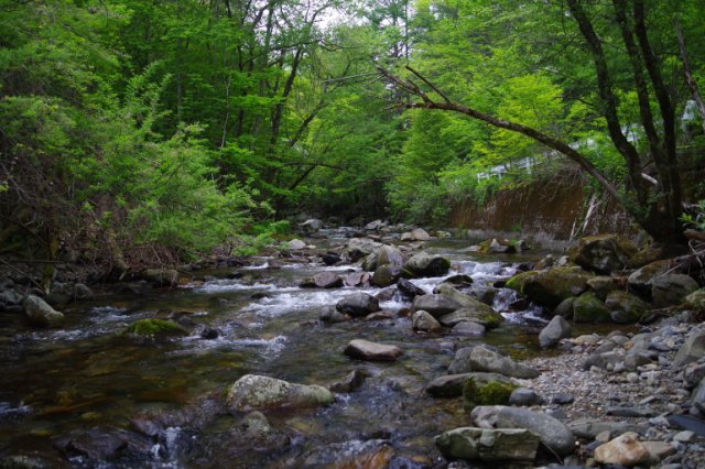 IMGP4455_R