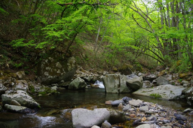 IMGP4483_R
