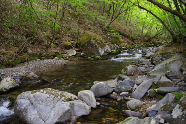 IMGP4487_R