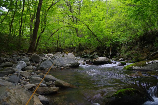 IMGP4524_R