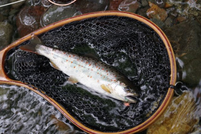 IMGP4578_R