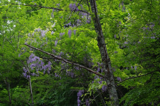 IMGP4588_R