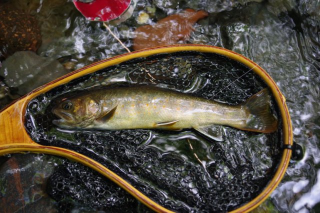 IMGP4711_R