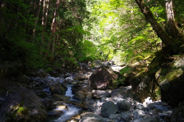IMGP4852_R