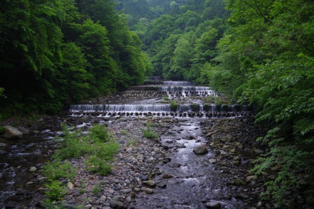 IMGP5037_R