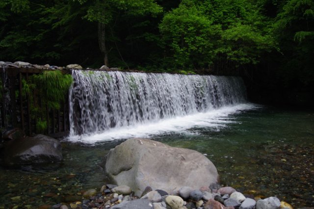IMGP5082_R