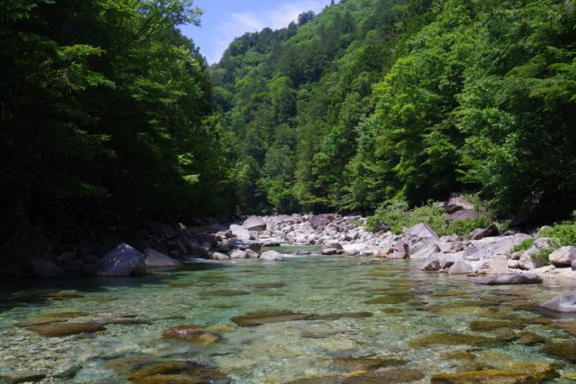 IMGP5295_R