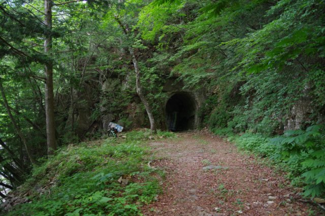 IMGP5406_R