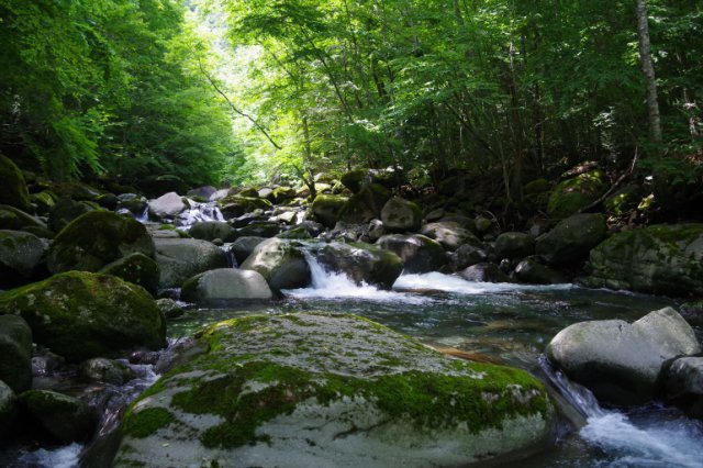 IMGP5582_R