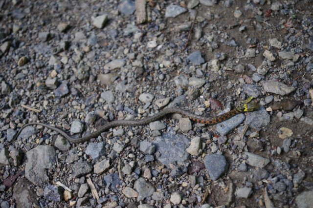 IMGP5651_R
