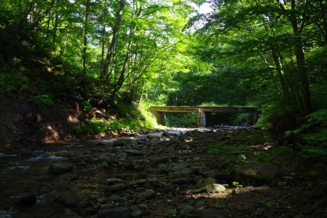 IMGP5708_R