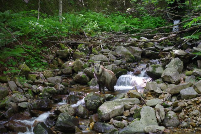IMGP5982_R