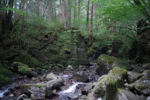 IMGP6058_R