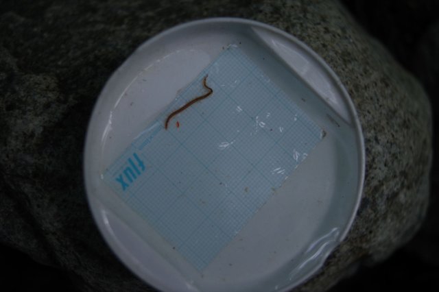 IMGP6075_R