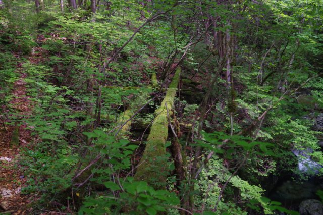 IMGP6129_R